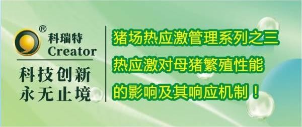 養(yǎng)殖技術(shù) | 熱應(yīng)激對母豬繁殖性能的影響及其響應(yīng)機(jī)制