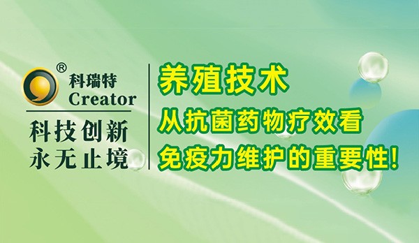 養(yǎng)殖技術(shù)｜從抗菌藥物療效看免疫力維護(hù)的重要性！